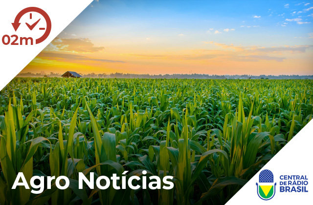 Agro Notícias